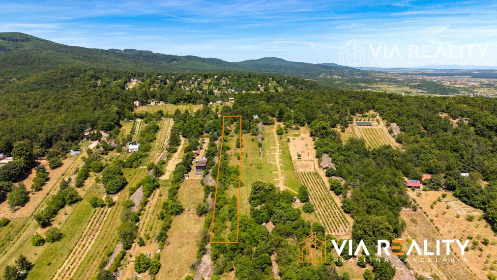 Rekreačný pozemok so zrubom (chatou) a vinohradom, 4122 m² – Modra