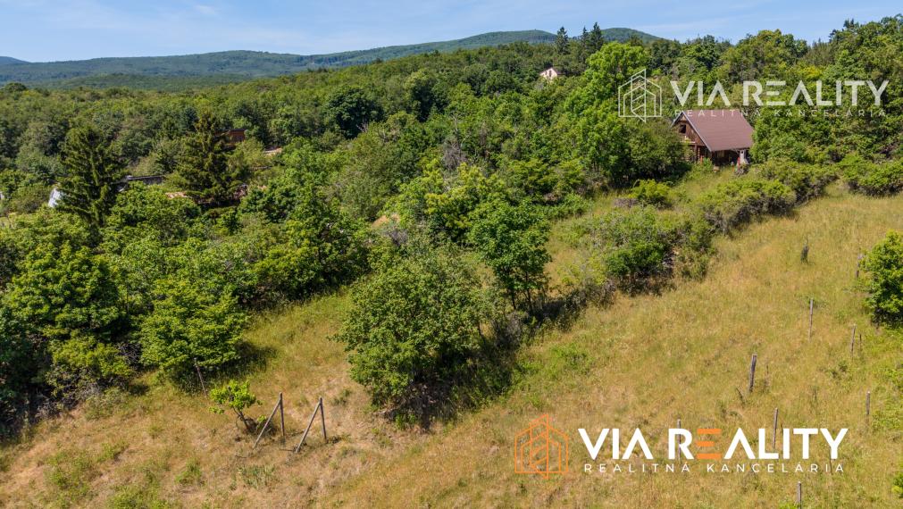 Rekreačný pozemok so zrubom (chatou) a vinohradom, 4122 m² – Modra