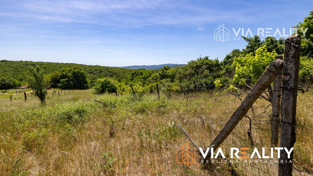 Rekreačný pozemok so zrubom (chatou) a vinohradom, 4122 m² – Modra