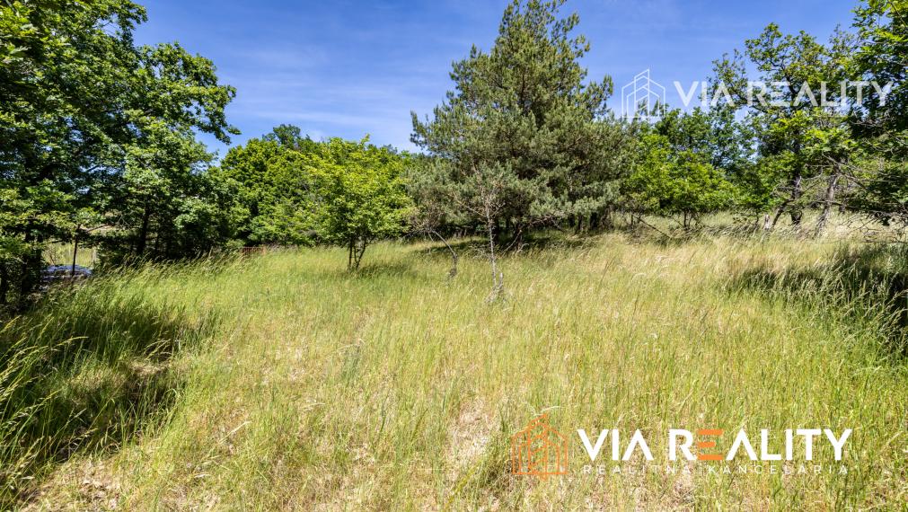 Rekreačný pozemok so zrubom (chatou) a vinohradom, 4122 m² – Modra