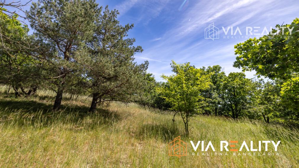 Rekreačný pozemok so zrubom (chatou) a vinohradom, 4122 m² – Modra
