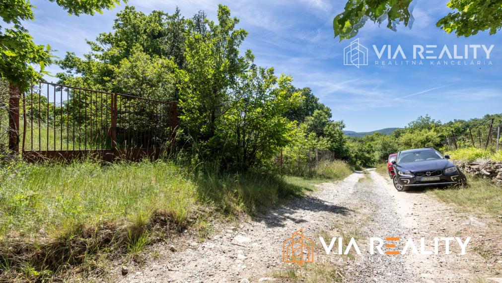 Rekreačný pozemok so zrubom (chatou) a vinohradom, 4122 m² – Modra
