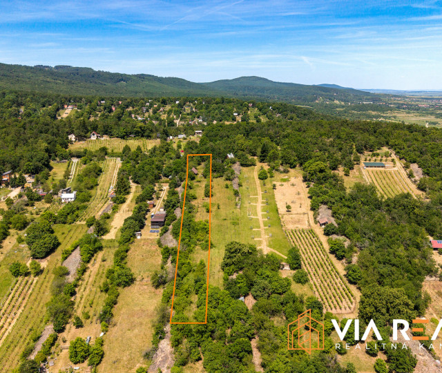 Rekreačný pozemok so zrubom (chatou) a vinohradom, 4122 m² – Modra