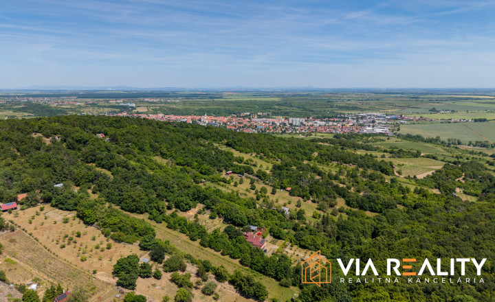 Rekreačný pozemok so zrubom (chatou) a vinohradom, 4122 m² – Modra - fotografia 20