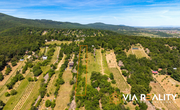 Rekreačný pozemok so zrubom (chatou) a vinohradom, 4122 m² – Modra - fotografia 1