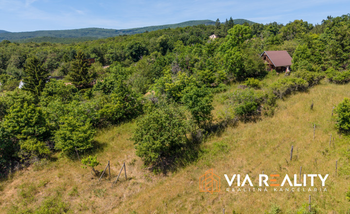 Rekreačný pozemok so zrubom (chatou) a vinohradom, 4122 m² – Modra - fotografia 21