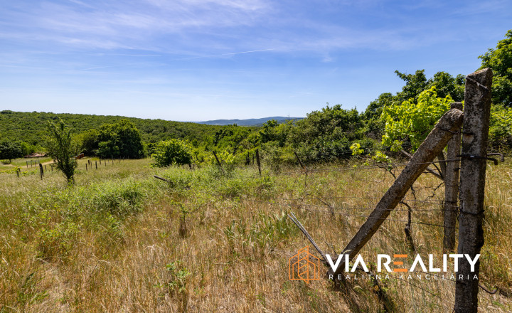 Rekreačný pozemok so zrubom (chatou) a vinohradom, 4122 m² – Modra - fotografia 17