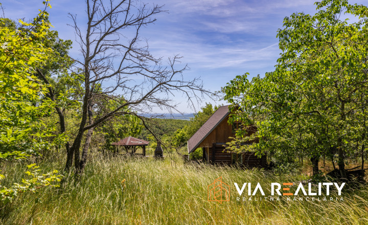 Rekreačný pozemok so zrubom (chatou) a vinohradom, 4122 m² – Modra - fotografia 27